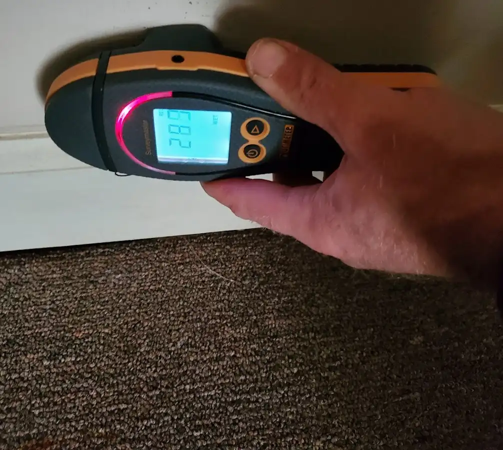 Moisture detection at baseboard during Burst Pipe Cleanup in Frisco